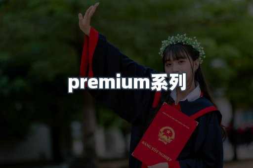 premium系列